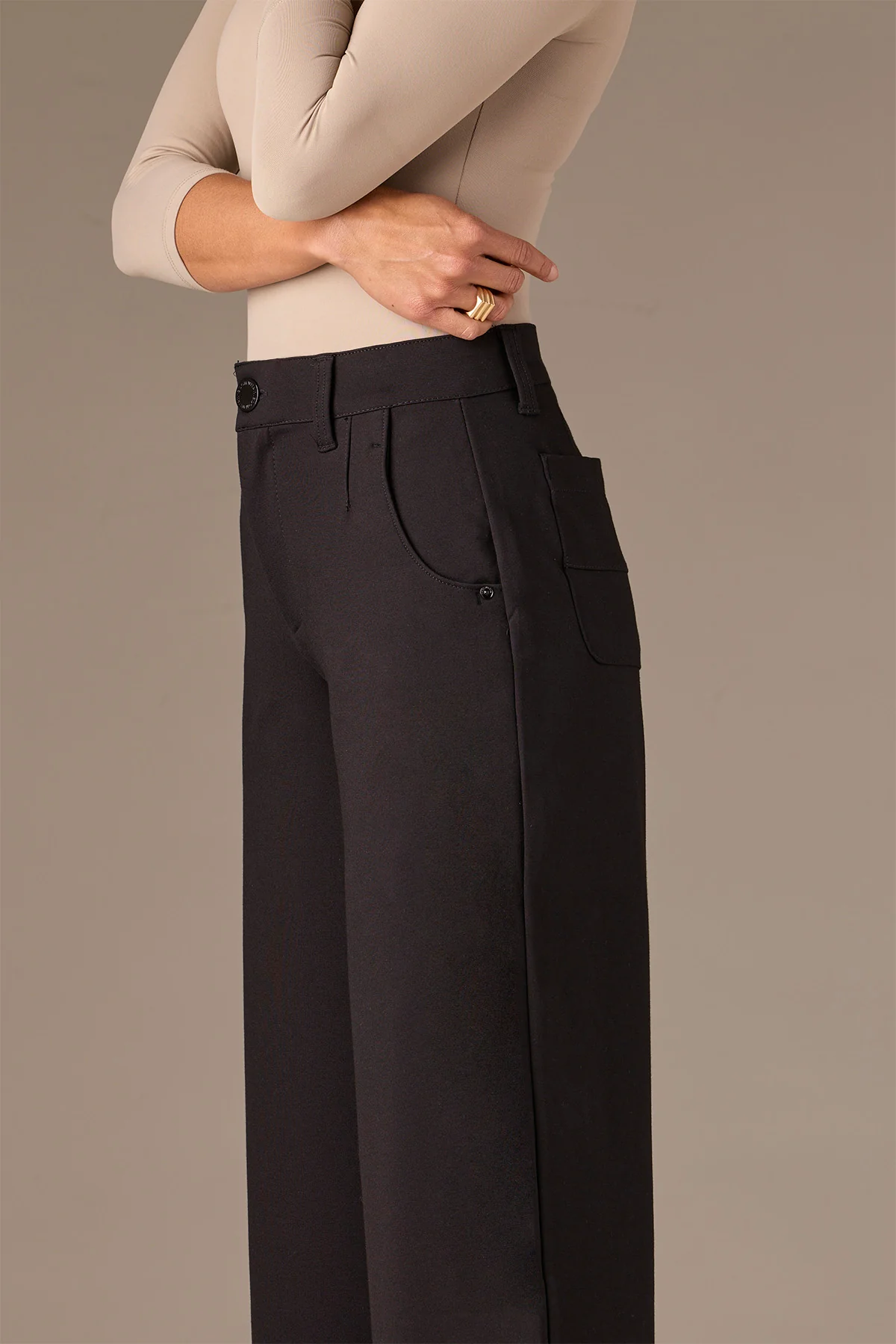 Whitney Skyrise Wide Leg Petite Pants - Image 5